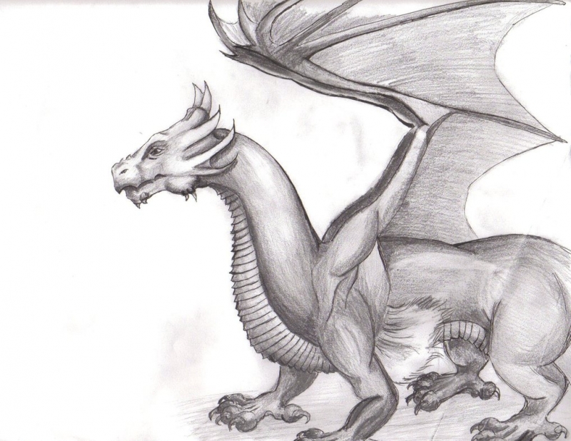 dragon_sketch_by_wisecracker42-d5hi1d3